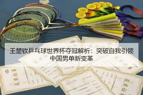 王楚钦乒乓球世界杯夺冠解析：突破自我引领中国男单新变革
